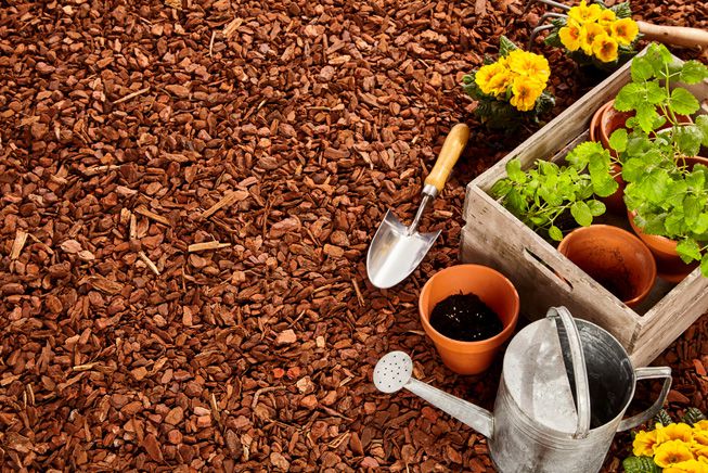 To Mulch or Not to Mulch